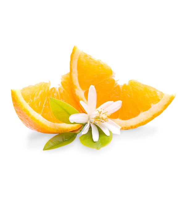 Natural Orange Blossom Fragrance Oil Online now