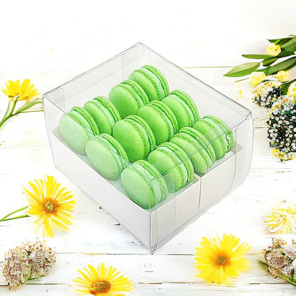 Apple Cream Macaron Sucettes En Gros | Available in 24 & 48 Sucettes Online now