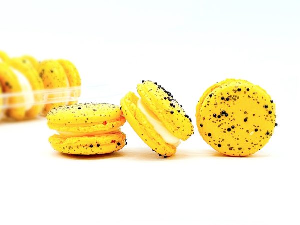 6 Pack Salted Pecan Macarons Hot on Sale