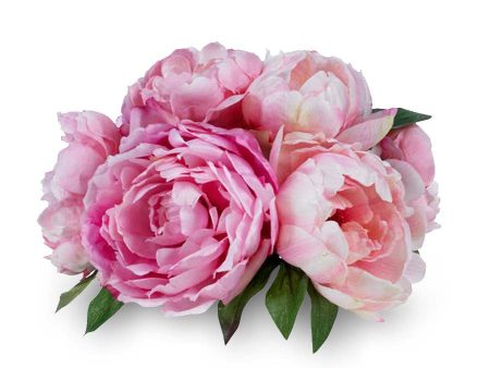 Natural Pink Peony Fragrance Oil Supply