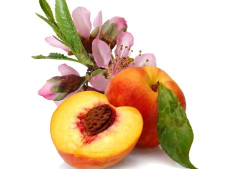 Natural Peach Blossom Fragrance Oil For Sale