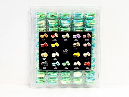 50 Pack Blueberry Pistachio French Macarons Value Pack Sale