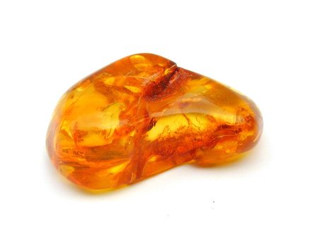 Asian Amber Fragrance Oil Supply