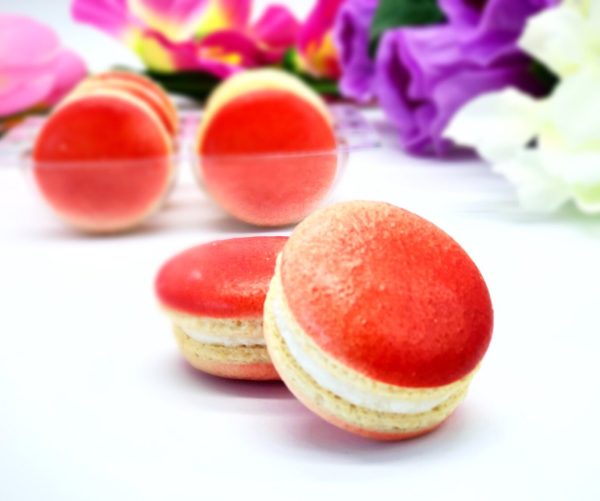 6 Pack Assorted  Macarons | Lychee, Guava and Apple Cinnamon Macaron Discount