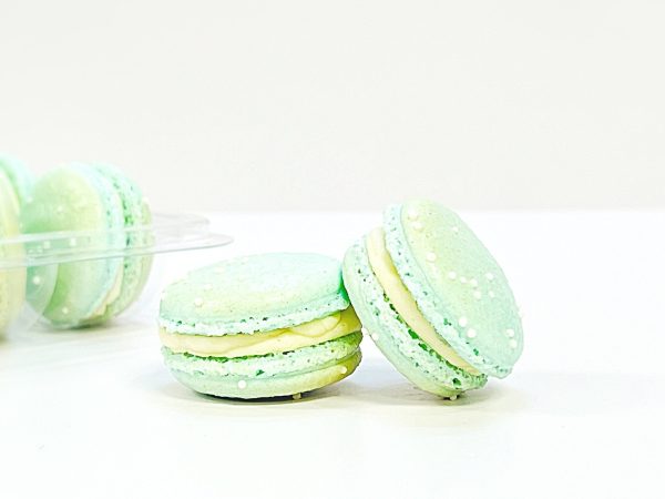 6 Pack Peppermint & Blueberry French Macarons Discount