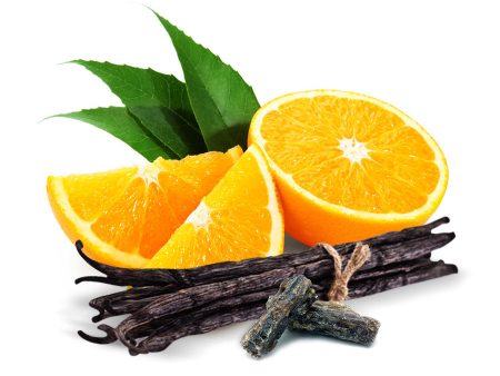 Benzoin, Sweet Orange & Vanilla Fragrance Oil Sale