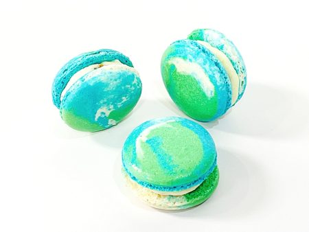 6 Pack Blueberry Pistachio French Macarons For Discount