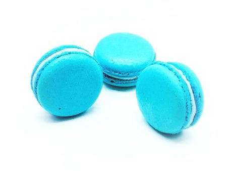 Blueberry Macarons (6 Pack) | Ideal for celebratory events. Online