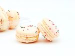 6 Strawberry Gingerbread French Macarons on Sale