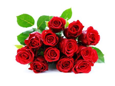 Natural Dozen Roses Fragrance Oil Online Sale