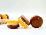 6 Pack Papaya French Macarons Fashion