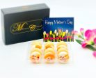 Mother s Day Macaron Set (Orange) | 12 Pack | a perfect gift for your mom Online Hot Sale