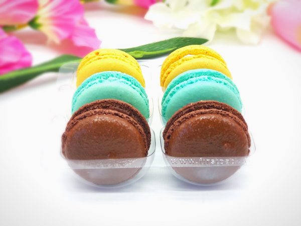 6 Pack Assorted  Macarons | Chocolate Raspberry, Mint Chocolate, Blueberry Cheesecake Macarons Supply