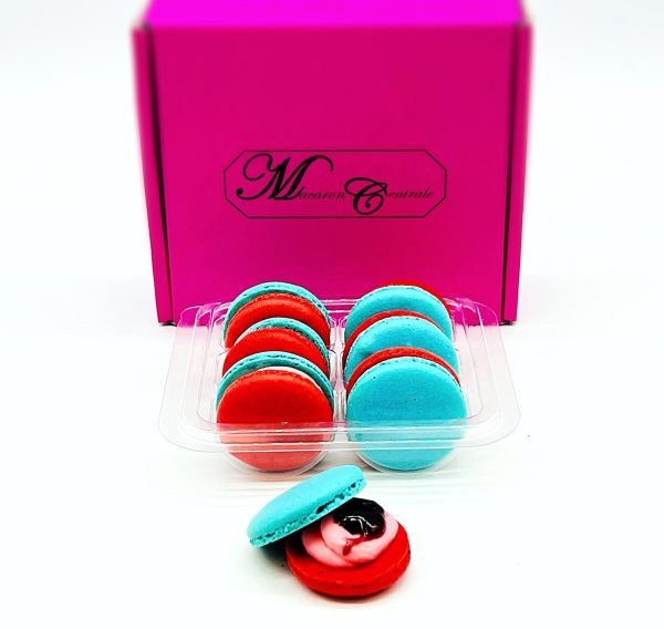 6 Pack  Straw-Blueberry Macarons For Discount