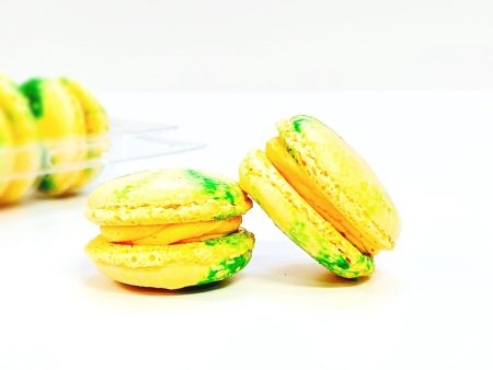 6 Pack Papaya Buttercream French Macarons Hot on Sale