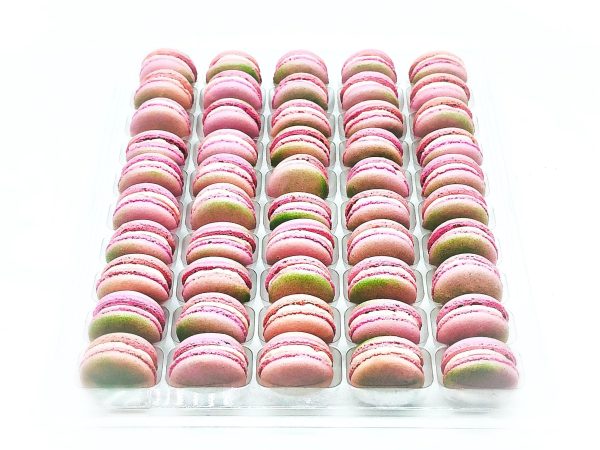 50 Pack Guava  French Macaron Value Pack Fashion