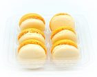 6 Pack Orange Pumpkin Macarons Online Hot Sale