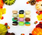 12 Pack | Surprise Me! French Macaron - Cold Pack Included Online