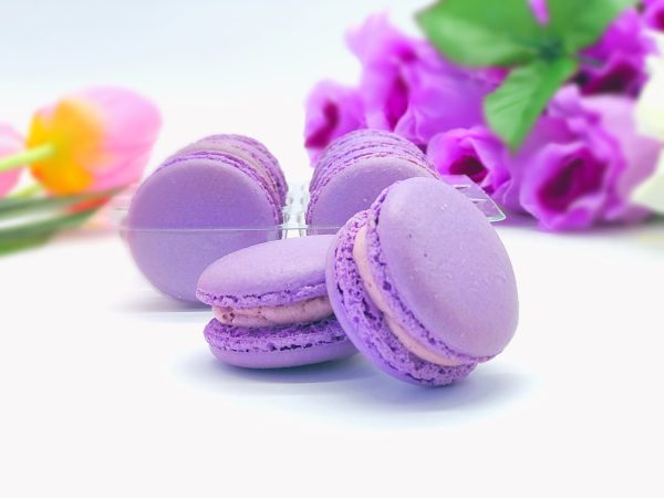 6 Pack  grape macarons Sale