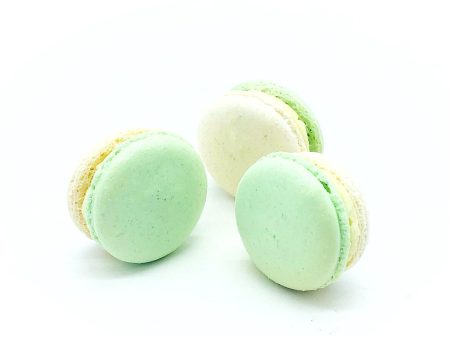 6 Pack Apple White Chocolate Ganache Macarons Online Hot Sale