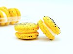 6 Pack Salted Pecan Macarons Hot on Sale