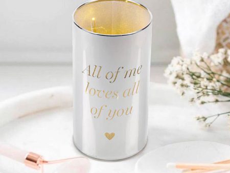 Amore Light Up Silver Tube Lamp  All of Me  Cheap