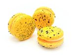 6 Pack Salted Pecan Macarons Hot on Sale