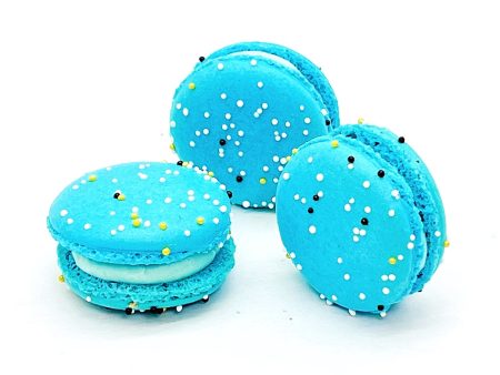 Blueberry Milk Jam French Macaron | Available in 6, 12 & 24 Discount