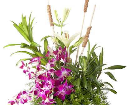 Arrangement of orchids and lilies Discount