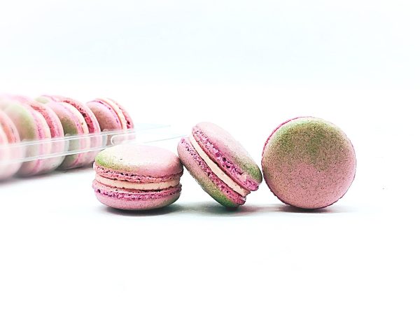 50 Pack Guava  French Macaron Value Pack Fashion