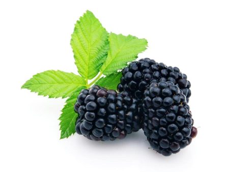 Natural Black Raspberry Fragrance Oil For Discount