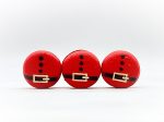 Santa s Belt Holiday Vegan French Macaron Set | Perfect for the holiday season For Cheap