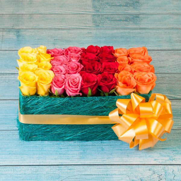 Bed of Color Roses Hot on Sale