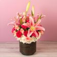 Blooms in Pink Discount