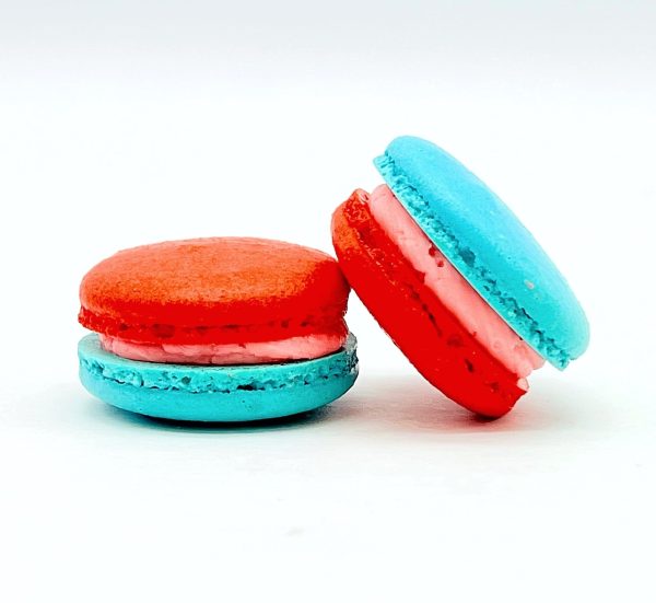 6 Pack  Straw-Blueberry Macarons For Discount