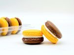 6 Pack Papaya French Macarons Fashion