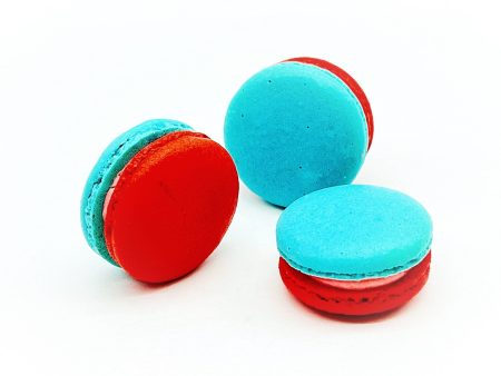 6 Pack  Straw-Blueberry Macarons For Discount