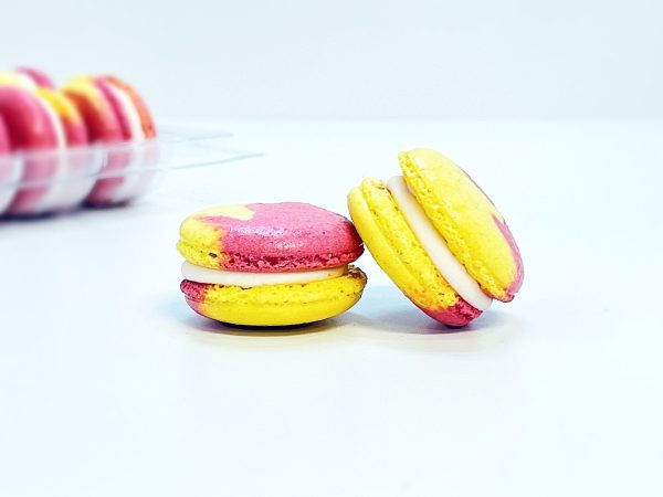 6 Pack Cranberry and Yuzu Macarons Cheap