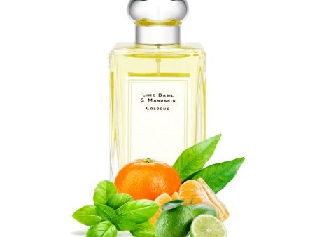 Natural Lime Basil Type Fragrance Oil Discount