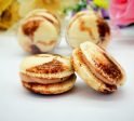 12 Pack Milk Tea Macarons Set | Handmade &  | Free Shipping For Discount