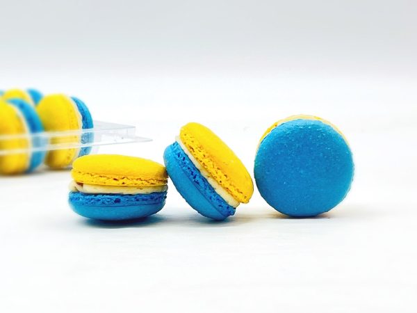 Honey and Fig French Macaron | Available in 6, 12 & 24 For Sale