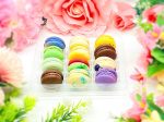 12 Pack | Surprise Me! French Macaron - Cold Pack Included Online