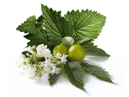 Natural Patchouli Fragrance Oil Online now