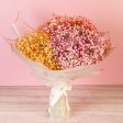 Baby s Breath Hand Tied Online Hot Sale