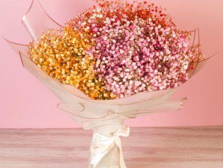 Baby s Breath Hand Tied Online Hot Sale