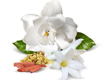 Natural Vintage Gardenia Fragrance Oil For Sale