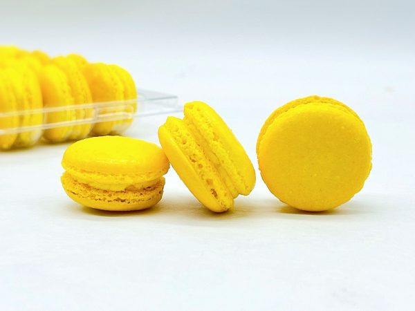 6 Pack  lemon macarons Online now