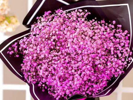 Wonder Pink Baby s Breath Bouquet Cheap