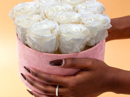 ForeverRoses™ White Roses in Pink Velvet Box For Discount