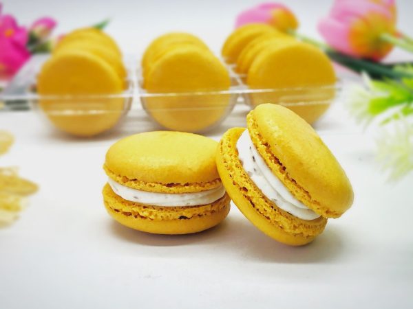 6 Pack Assorted  Macarons | Chocolate Raspberry, Mint Chocolate, Blueberry Cheesecake Macarons Supply